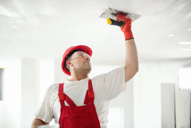 Best Residential Mold Inspection & Testing  in Coppell, TX